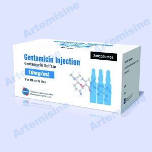 Gentamicin injection